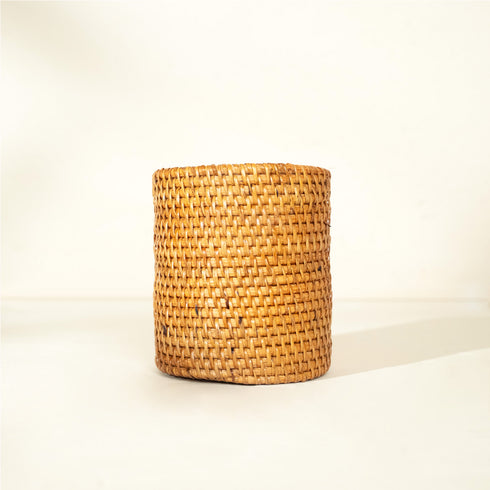 Rattan plant pot terracotta insert saucer close up indoor