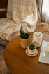 Natural rattan plant pot terracotta insert saucer styled indoor