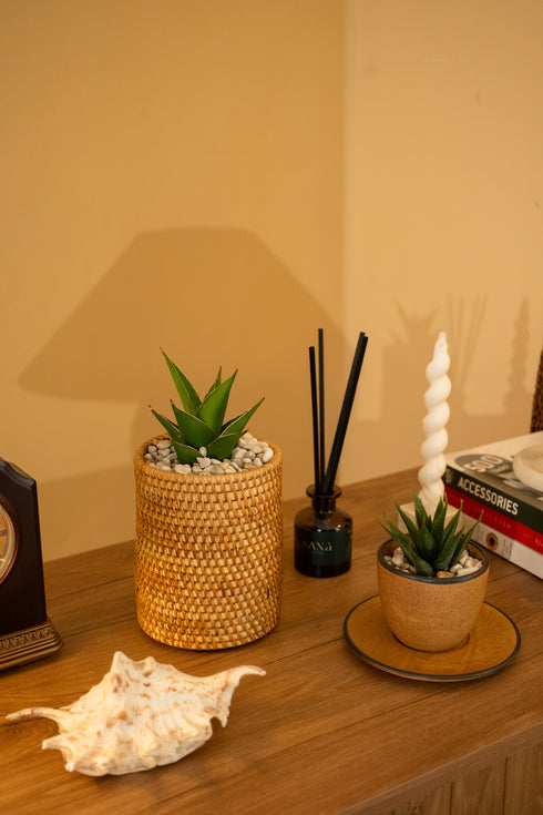 Rattan plant pot terracotta insert saucer lifestyle indoor plant