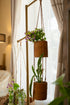Rattan hanging planter with indoor plants styled in a soft neutral living space by the window
