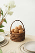 Spiral Harvest Baskets - Coastal Villa Homeware
