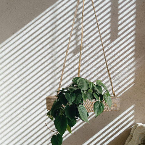 Handwoven Rattan Hanging Plant Basket – Single Tier with Metal Insert - Coastal Villa Homeware