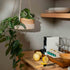 Kitchen counter with lemons, cutting board, and hanging plant