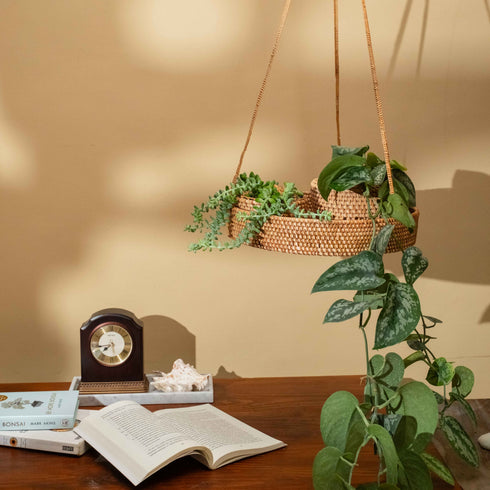 Hanging plant basket with green plants on a wooden surface against a beige wall.