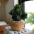 Rattan Pot - Coastal Villa Homeware