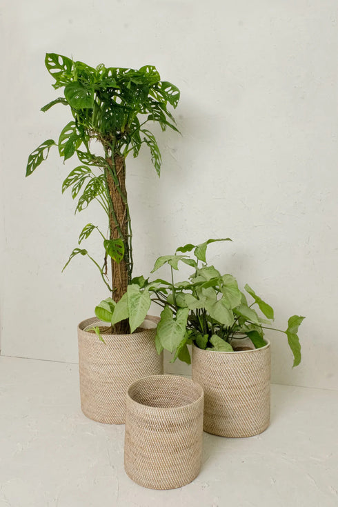 rattan flower pots