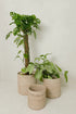rattan flower pots