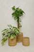 Rattan Planter | Wicker Planter | Rattan flower pots - Coastal Villa Homeware