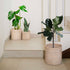 Rattan Planter | Wicker Planter | Rattan flower pots - Coastal Villa Homeware