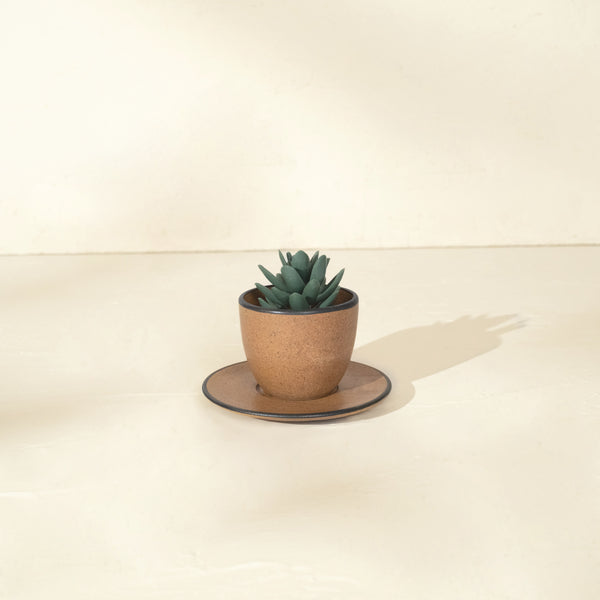 small ceramic plant pot with matching saucer and succulent