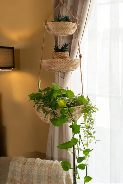 Three tier rattan hanging planter with indoor plants and cascading greenery in a living room