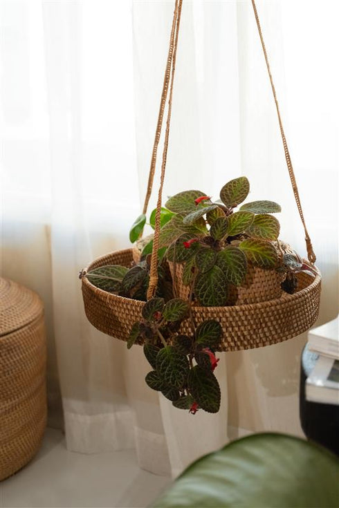 Woven rattan hanging planter tray with potted indoor plants in natural light