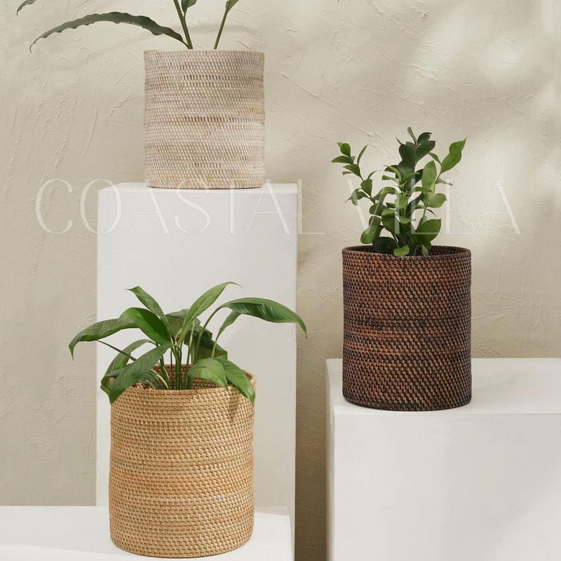 The Perfect Combination: Baskets for Your Plants