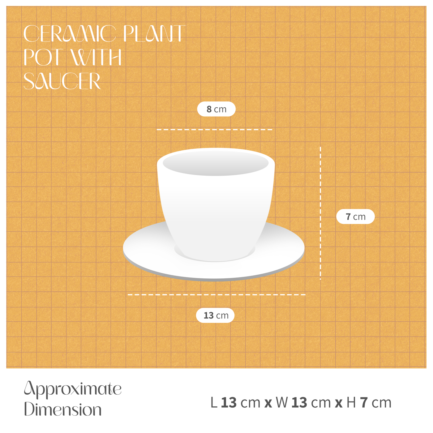 Ceramic Plant Pot with Saucer | Small Indoor Planter for Succulents dimensions