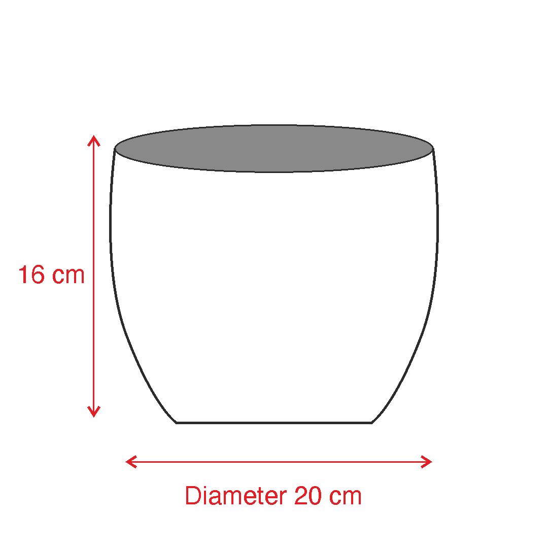 Rattan Pot dimensions